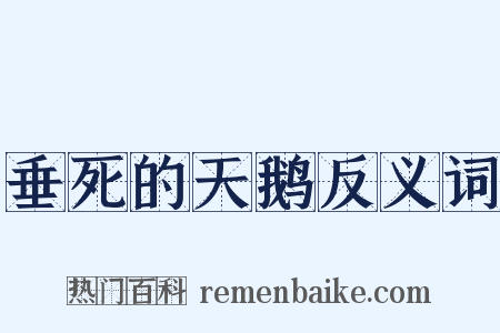 垂死的天鹅反义词是什么意思的图片